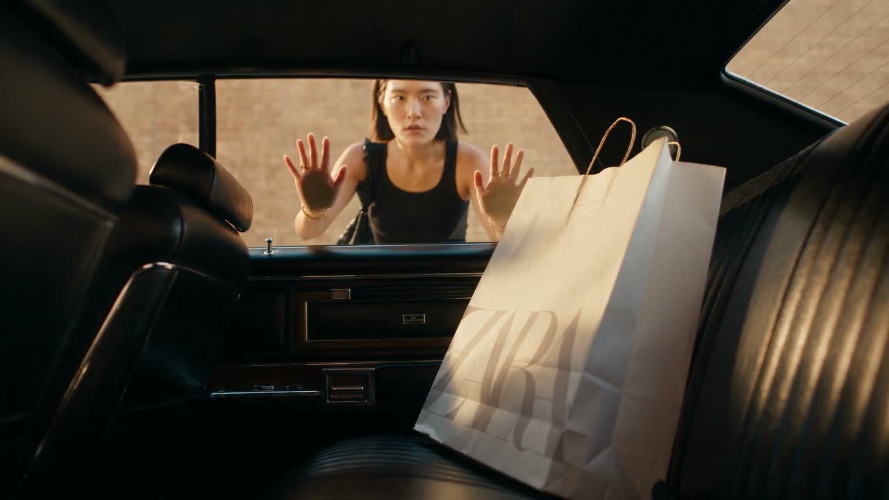 The Car-Smashing Thief